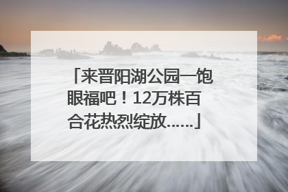 来晋阳湖公园一饱眼福吧！12万株百合花热烈绽放……