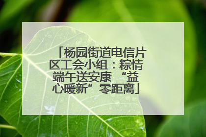 杨园街道电信片区工会小组：粽情端午送安康 “益心暖新”零距离