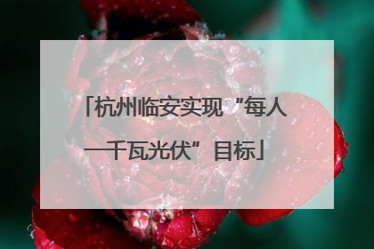杭州临安实现“每人一千瓦光伏”目标