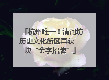 杭州唯一！清河坊历史文化街区再获一块“金字招牌”