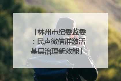林州市纪委监委：民声微信群激活基层治理新效能