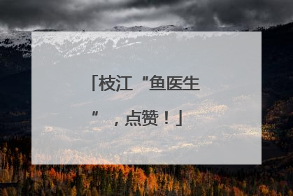 枝江“鱼医生”，点赞！