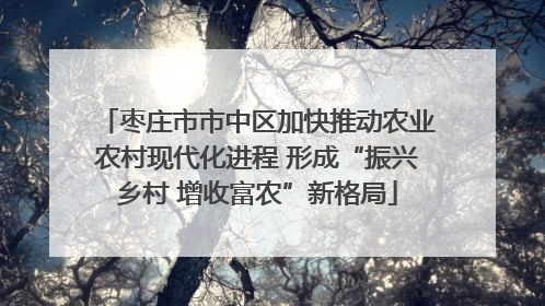 枣庄市市中区加快推动农业农村现代化进程 形成“振兴乡村 增收富农”新格局