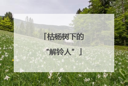 枯杨树下的“解铃人”