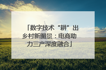 数字技术“耕”出乡村新图景：电商助力三产深度融合