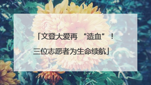 文登大爱再 “造血”！三位志愿者为生命续航