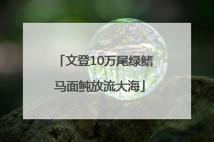文登10万尾绿鳍马面鲀放流大海