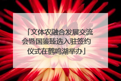 文体农融合发展交流会暨国鉴臻选入驻签约仪式在鹤鸣湖举办