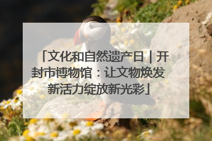 文化和自然遗产日｜开封市博物馆：让文物焕发新活力绽放新光彩