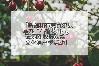新疆和布克赛尔县举办“石榴花开·云骥逐风·牧野欢歌”文化演出季活动