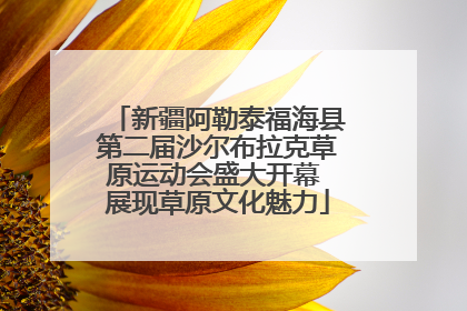 新疆阿勒泰福海县第二届沙尔布拉克草原运动会盛大开幕 展现草原文化魅力