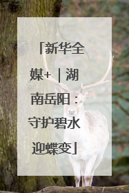 新华全媒+｜湖南岳阳：守护碧水迎蝶变