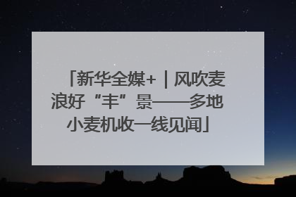 新华全媒+｜风吹麦浪好“丰”景——多地小麦机收一线见闻