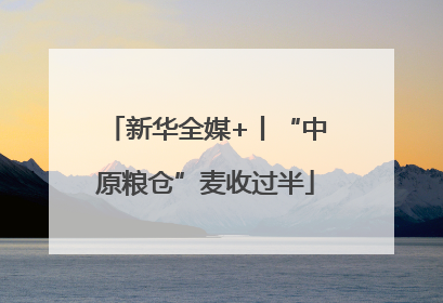 新华全媒+丨“中原粮仓”麦收过半
