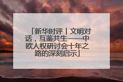 新华时评丨文明对话，互鉴共生——中欧人权研讨会十年之路的深刻启示