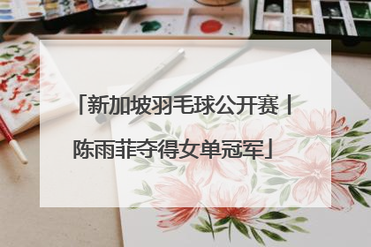 新加坡羽毛球公开赛丨陈雨菲夺得女单冠军