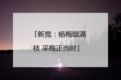 新晃：杨梅缀满枝 采梅正当时