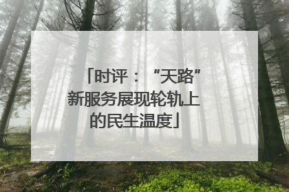 时评：“天路”新服务展现轮轨上的民生温度