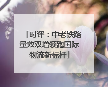 时评：中老铁路量效双增领跑国际物流新标杆