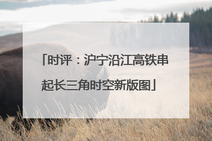 时评：沪宁沿江高铁串起长三角时空新版图