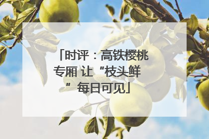 时评：高铁樱桃专厢 让“枝头鲜”每日可见