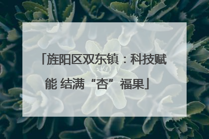 旌阳区双东镇：科技赋能 结满“杏”福果