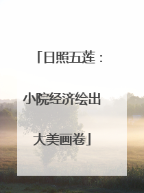 日照五莲：小院经济绘出大美画卷
