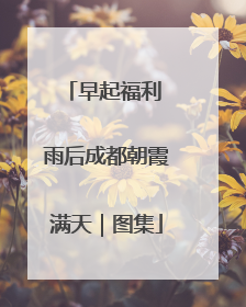 早起福利 雨后成都朝霞满天｜图集