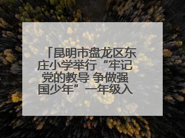 昆明市盘龙区东庄小学举行“牢记党的教导 争做强国少年”一年级入队仪式