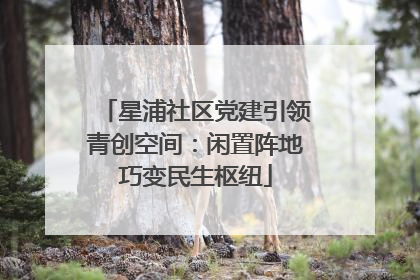 星浦社区党建引领青创空间：闲置阵地巧变民生枢纽
