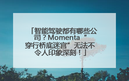 智能驾驶都有哪些公司？Momenta“穿行桥底迷宫”无法不令人印象深刻！