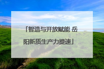 智造与开放赋能 岳阳新质生产力提速
