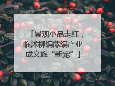 景观小品走红，临沭柳编藤编产业成文旅“新宠”