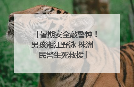 暑期安全敲警钟！男孩湘江野泳 株洲民警生死救援