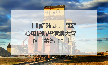 曲靖陆良：“蔬”心电护航粤港澳大湾区“菜篮子”