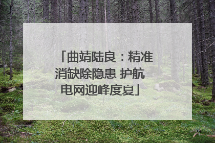 曲靖陆良：精准消缺除隐患 护航电网迎峰度夏