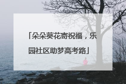 朵朵葵花寄祝福，乐园社区助梦高考路
