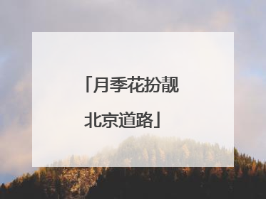 月季花扮靓北京道路