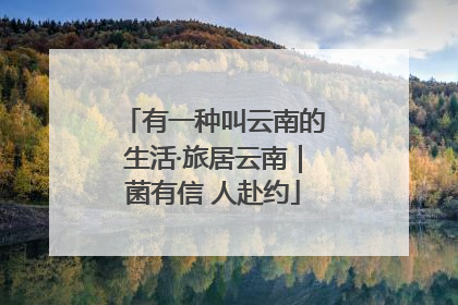 有一种叫云南的生活·旅居云南｜菌有信 人赴约