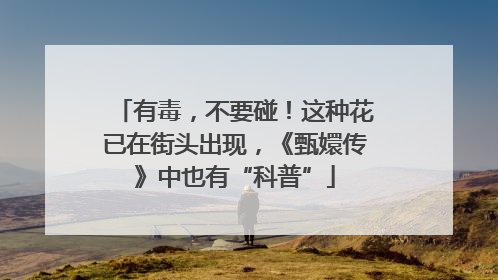 有毒，不要碰！这种花已在街头出现，《甄嬛传》中也有“科普”