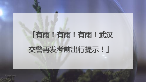 有雨！有雨！有雨！武汉交警再发考前出行提示！