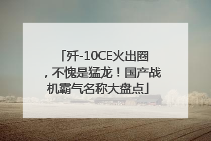 歼-10CE火出圈，不愧是猛龙！国产战机霸气名称大盘点