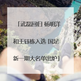 武磊回归 杨明洋和王钰栋入选 国足新一期大名单出炉