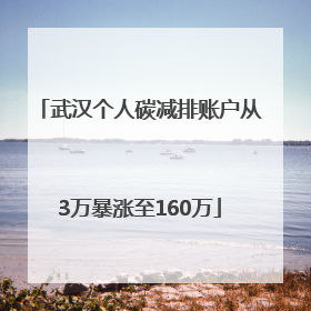 武汉个人碳减排账户从3万暴涨至160万