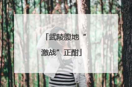 武陵腹地“激战”正酣
