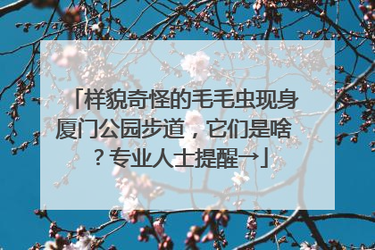 样貌奇怪的毛毛虫现身厦门公园步道，它们是啥？专业人士提醒→