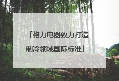 格力电器致力打造制冷领域国际标准