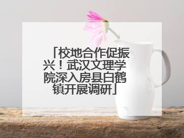 校地合作促振兴！武汉文理学院深入房县白鹤镇开展调研