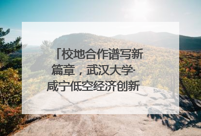 校地合作谱写新篇章，武汉大学·咸宁低空经济创新研究院签约成立