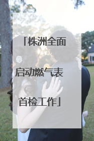 株洲全面启动燃气表首检工作